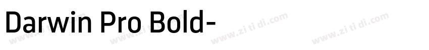 Darwin Pro Bold字体转换